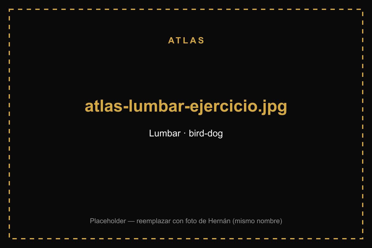 Hernán Zurita demostrando ejercicio para columna-lumbar