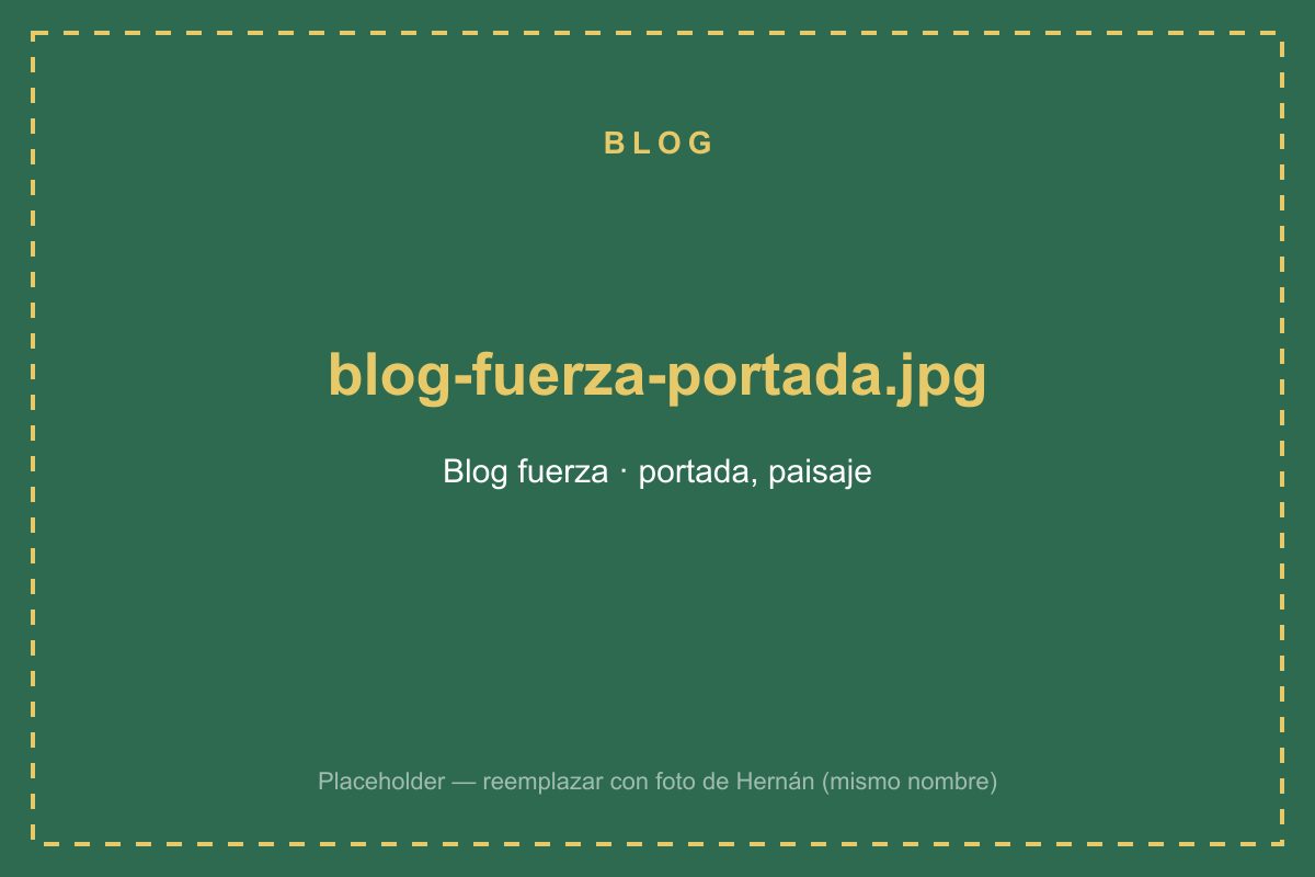 Entrenamiento de fuerza con fundamento anatómico: guía para empezar