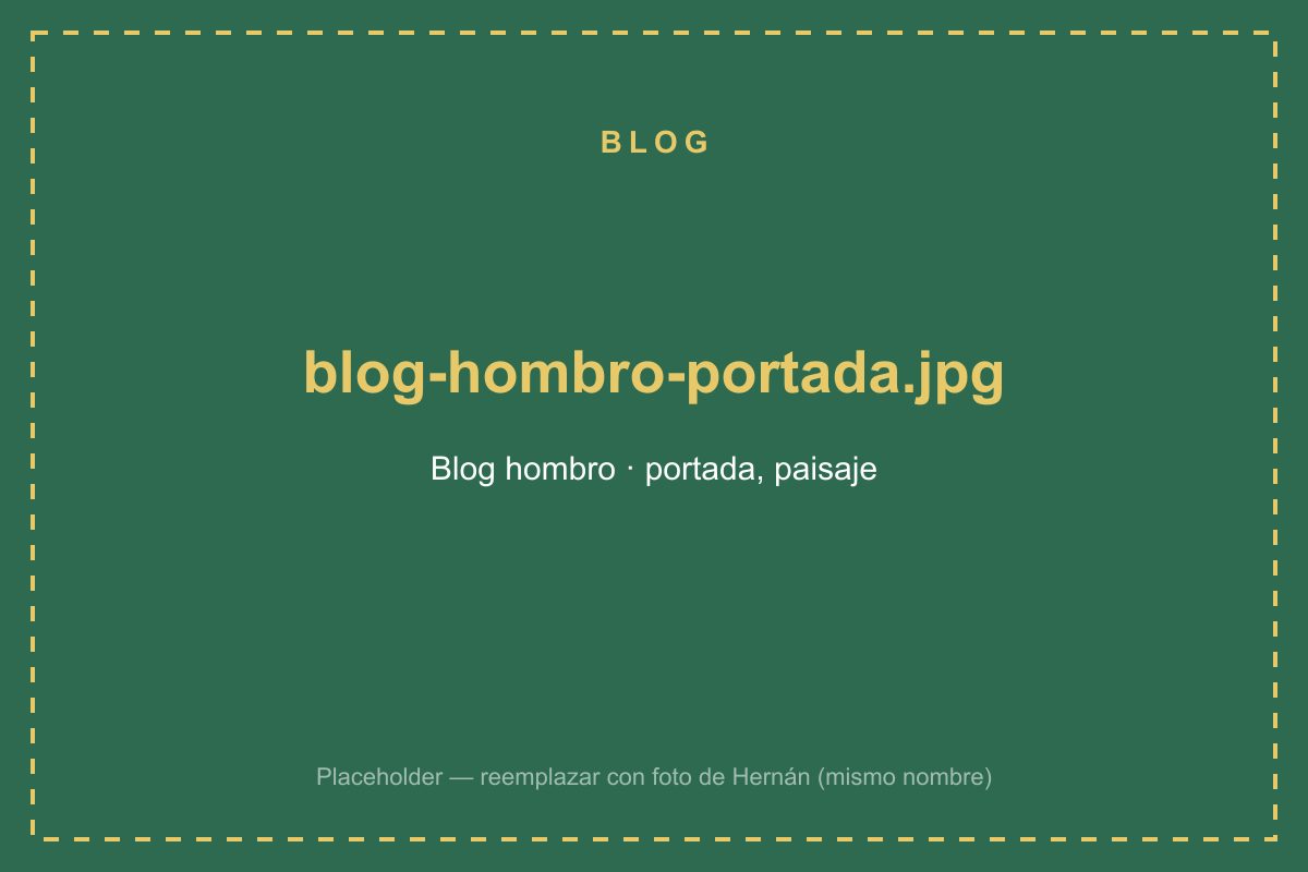 Anatomía del hombro: por qué duele y cómo entrenarlo correctamente