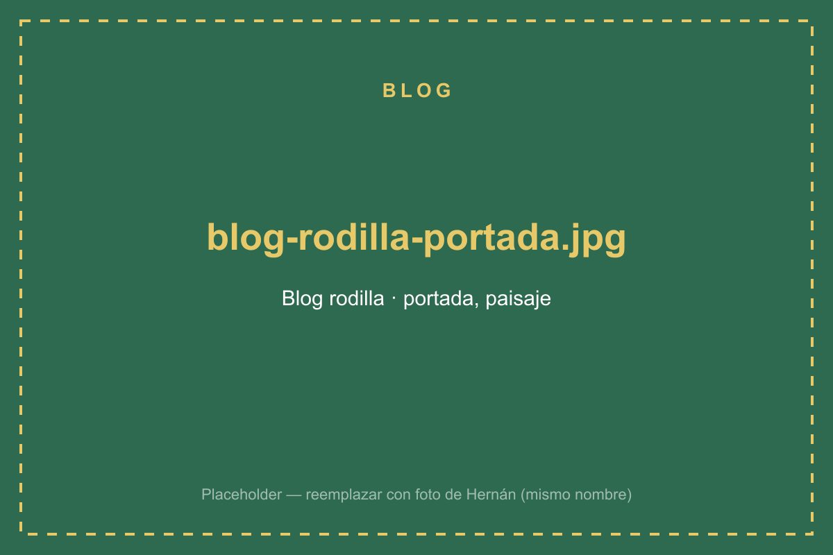 Anatomía de la rodilla: lesiones comunes y cómo prevenirlas