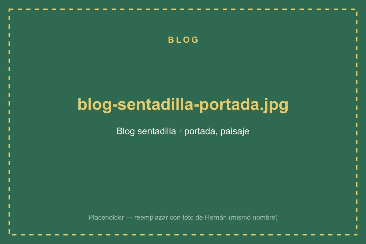 Músculos que trabaja la sentadilla: análisis anatómico completo